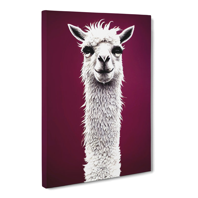Ionie Face Of A Llama Vol.1 - Wrapped Canvas, 50cm H x 35cm W x 3cm D