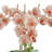 Cairo Polysilk Orchid Arrangement in Planter-218596647