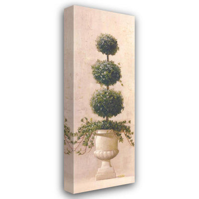 Roman Topiary ll