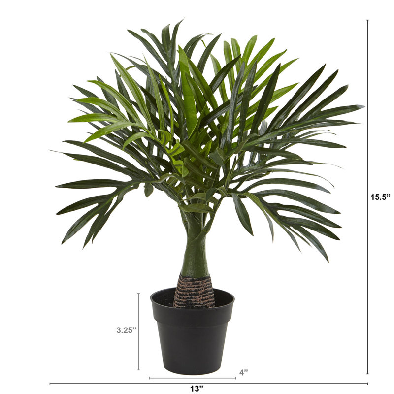  15.5in. Mini Areca Palm Artificial Plant