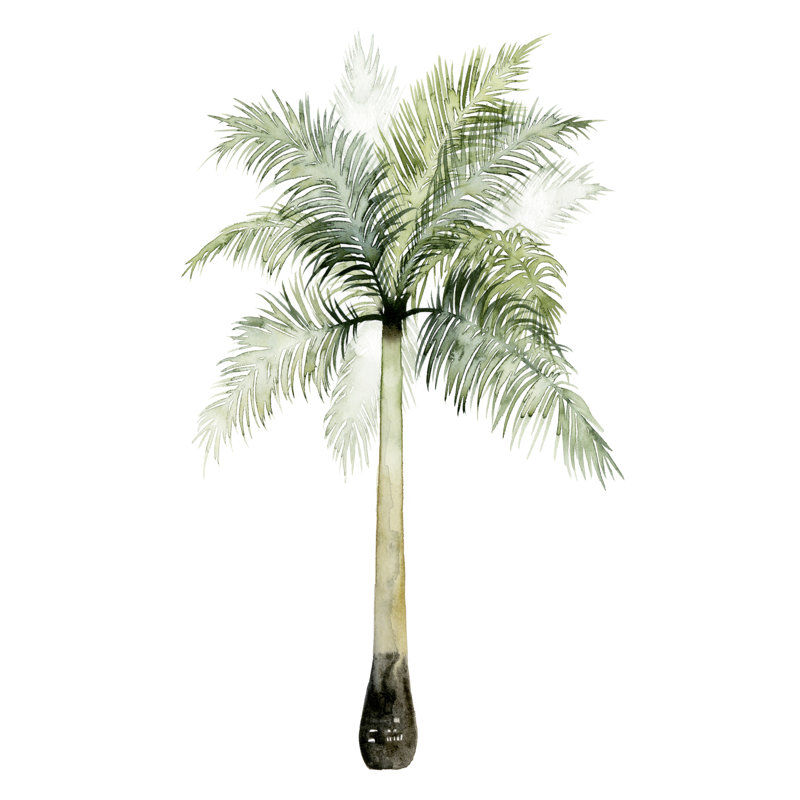 Watercolour Palm of the Tropics II 1 Piece Wrapped Canvas Painting, 76cm H x 51cm W x 3.8cm D