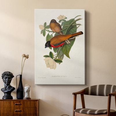 ElegantTrogonsVII - Gallery Cavas sur mesure