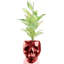Handmade Pot Planter-52454979