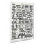 Study Of Mammals LIV by Oliver Goldsmith - Wrapped Canvas-55340975