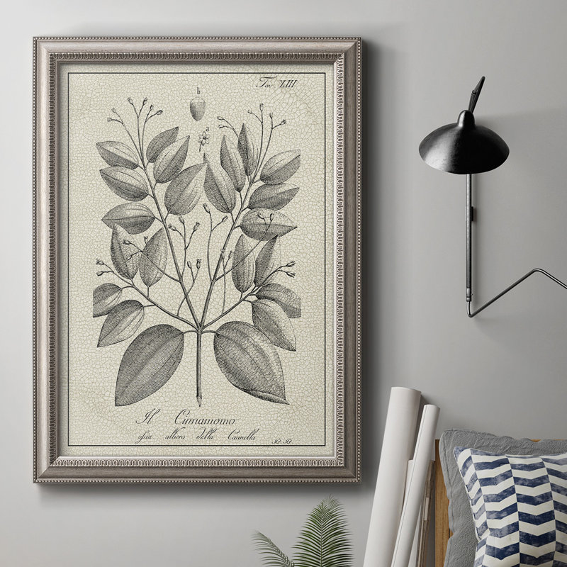 Antique Botanical VII - Reproduction d'art sur toile encadrée, L 24 po x H 36 po