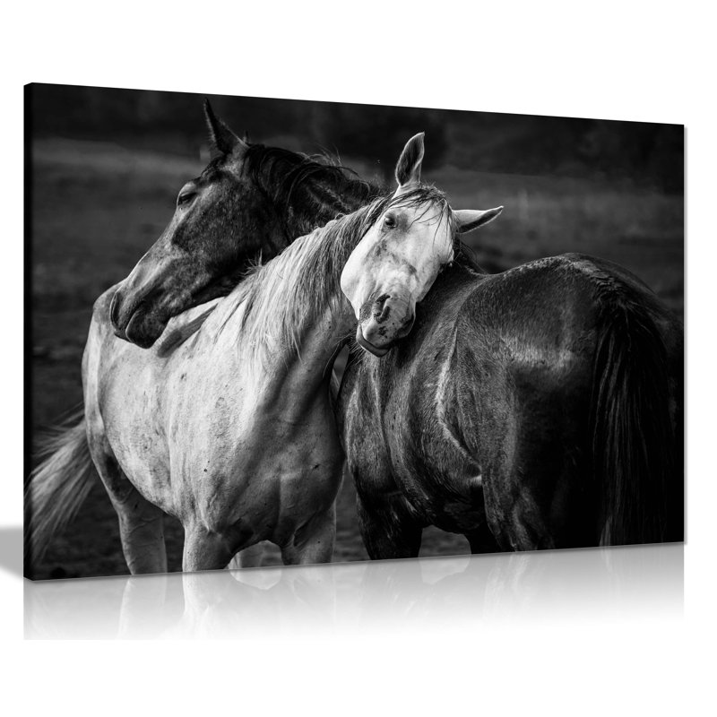 Horses Affection - Wrapped Canvas Art Prints, 61cm H x 91cm W