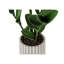 20 po de hauteur plante artificielle Zz en pot de ciment gris, plante décorative d'intérieur avec effet de verdure