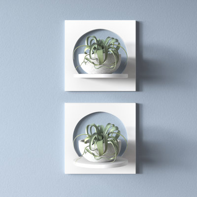 Agran 2 Piece Wall Shelf Set