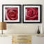 Wild Wild - ensemble de 2 reproductions de cadres photo-61458017-61458012
