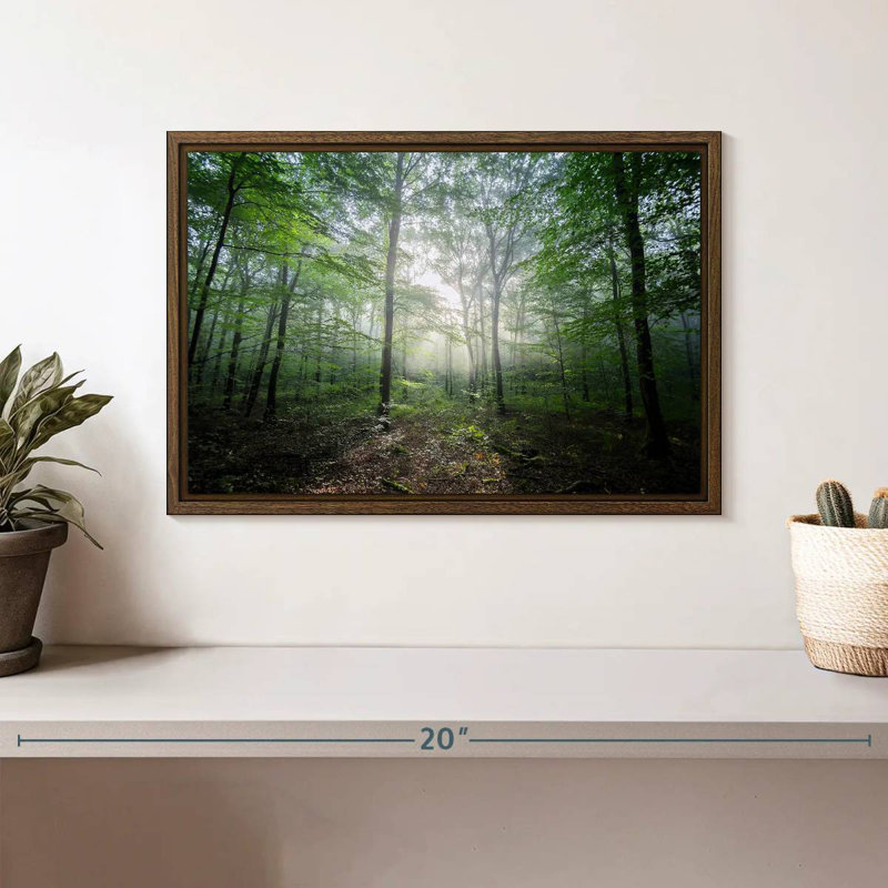 Lighting Forest II, 13 po x 9 po, Cadre flottant noyer