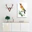 Orange Paradise Bird by George Shaw - Wrapped Canvas Painting-55329690