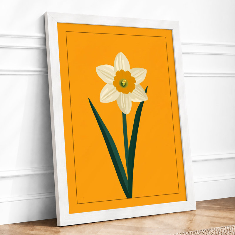 Daffodil Study Botanical - Framed Print, A3 - 42.0 x 29.7 cm, White