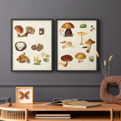 Reproduction encadrée de champignon I-Premium - prêt à être accroché - aucun clou requis - aucun clou requis