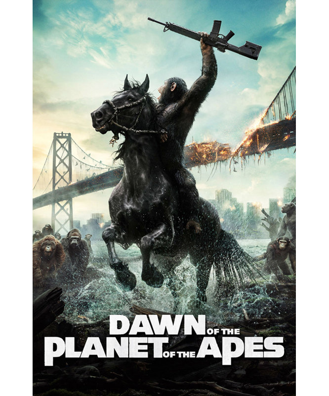 Aube de la planète des singes, H 24 po x l 16 po