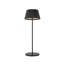 Dario LED Standard Table Lamp-212055621