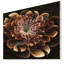 «Brown Fractal Flower», impression-35124940-35124945