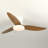 Karlena Ceiling Fan with LED Lights and Remote Control-1558591412-1555790861