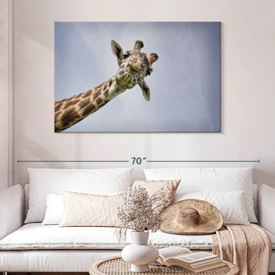 Visage de girafe Brampt