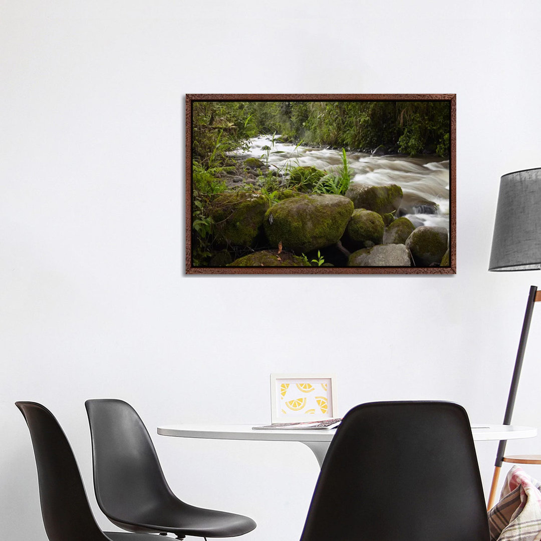 Mindo River Flowing Through Cloud Forest, Ecuador von Tim Fitzharris - Gallery-Wrapped Canvas Giclée on Canvas