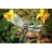 Metal Animals Garden Stake