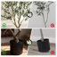Faux Asotin with Realistic Branches,Leaves & Fruits, Artificial Asotins for Home Decor-1374190442
