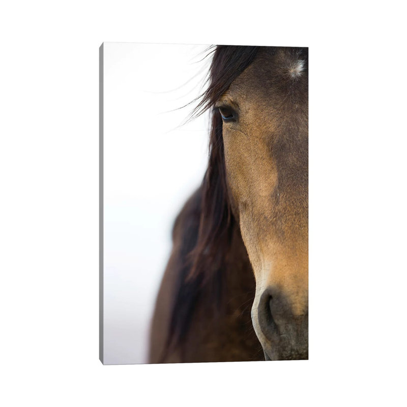 Namib Desert Horse, Namib-Naukluft National Park, Namibia by Cyril Ruoso - Wrapped Canvas Print