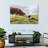 Brampt Border Collie And Cow-107707388