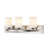 3 - Light Dimmable Bath Bar
