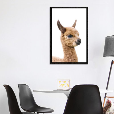 Baby Llama by Sisi & Seb - Gallery-Wrapped Canvas Giclée on Canvas