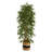 72'' Faux Bamboo Tree in Planter