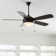 Swearengin 52'' Ceiling Fan with LED Lights