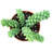 The Next Gardener Live Succulent Plant in Planter