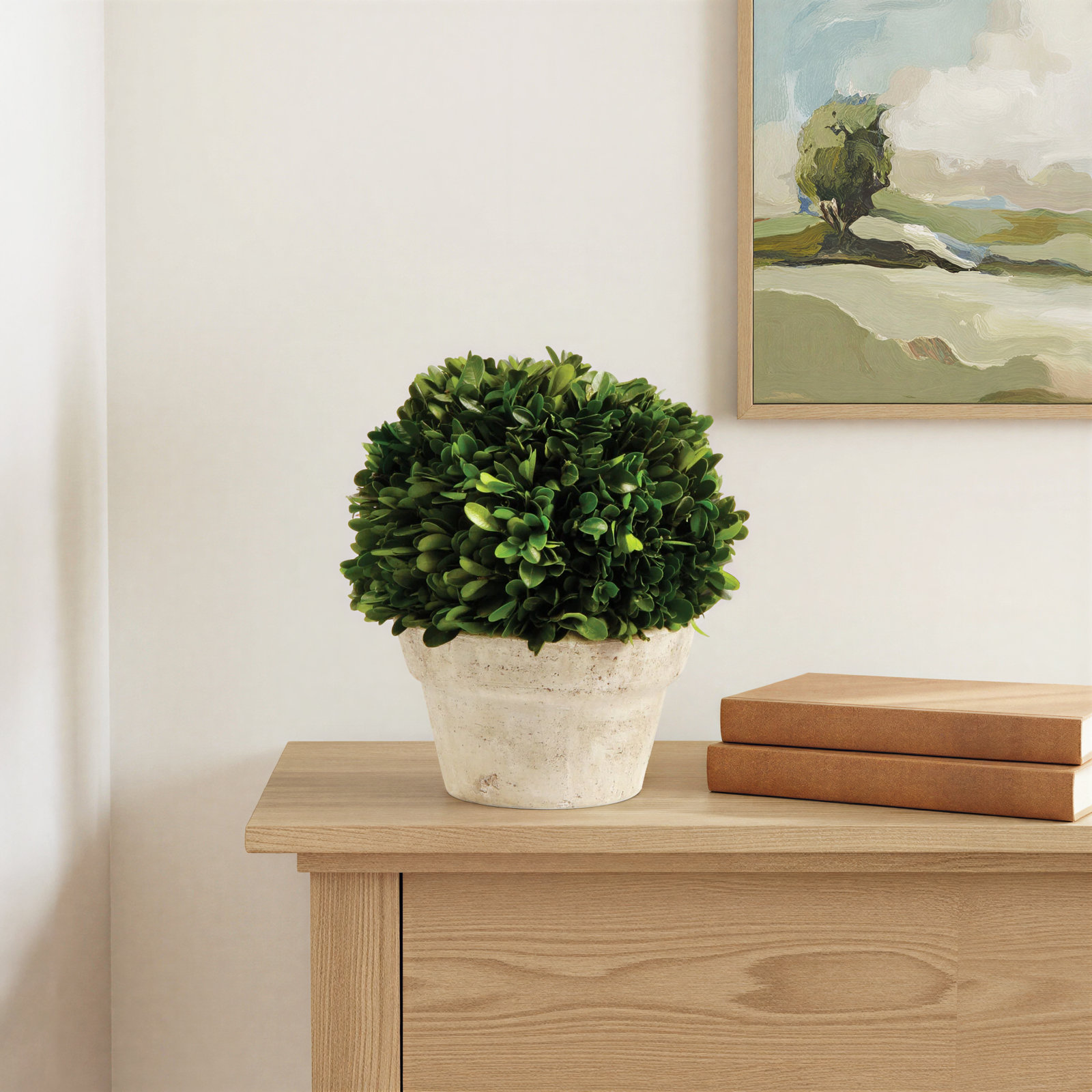 Alby 8'' Boxwood Topiary in Ceramic Pot, 8'' H X 7'' W X 7'' D