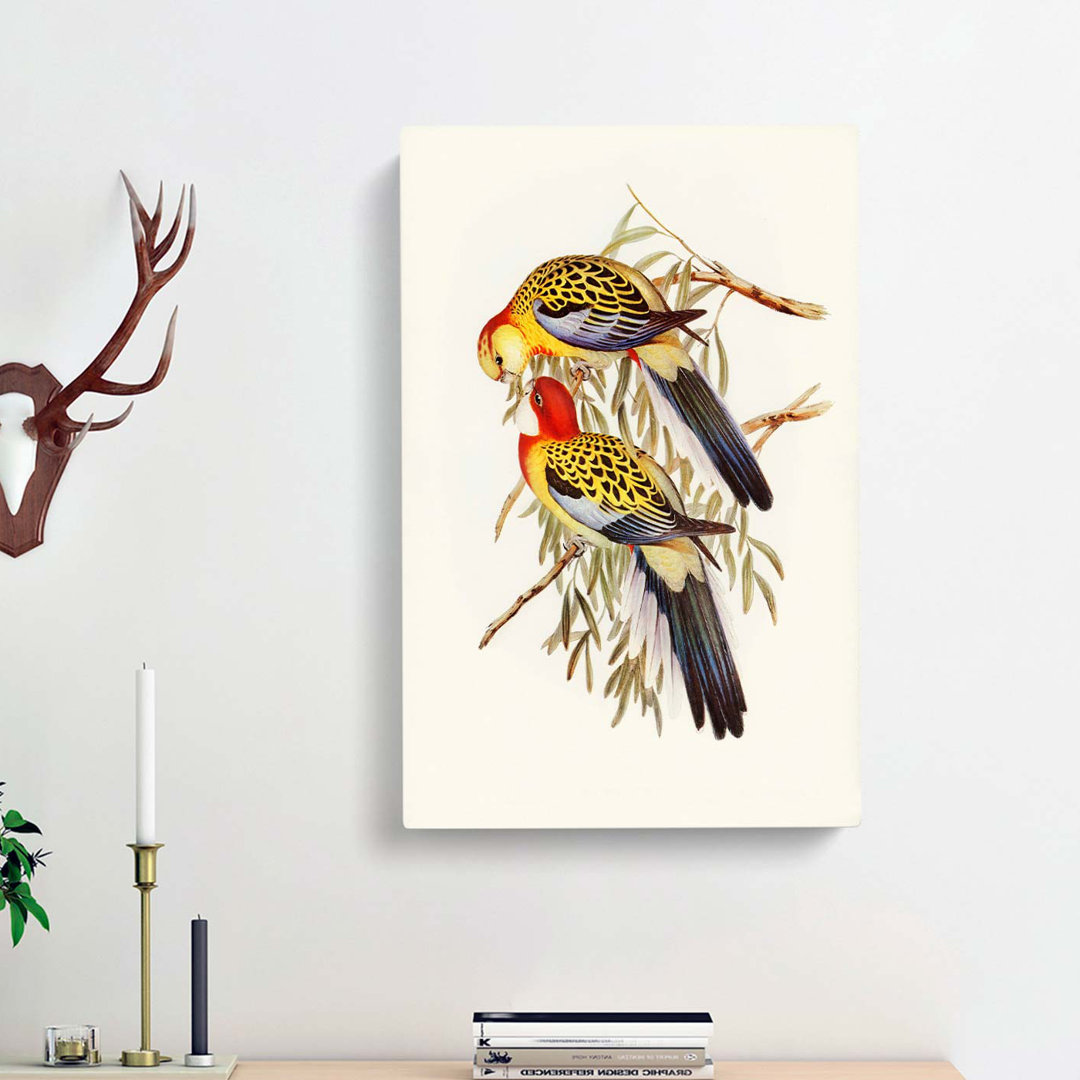 Splendid Parakeets by Elizabeth Gould - Wrapped Canvas