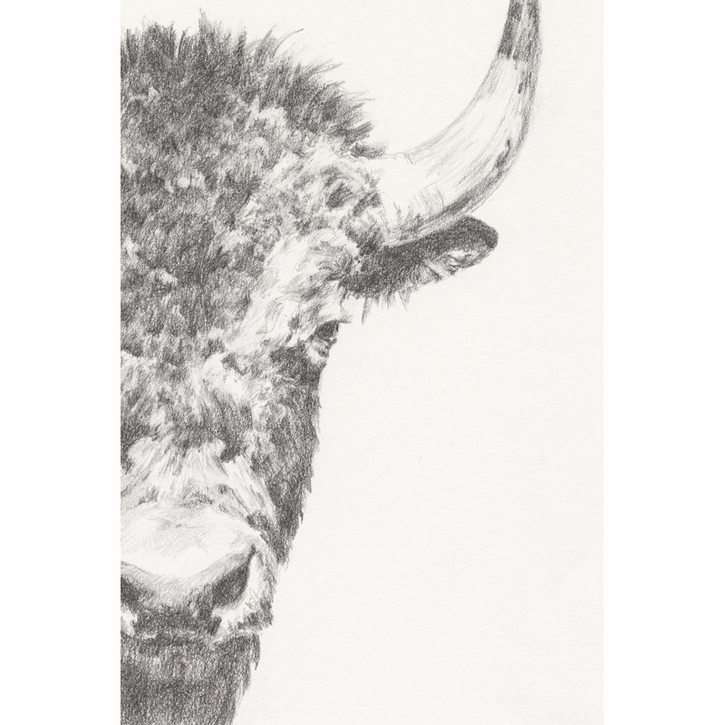 Bison Portrait II 1 Piece Wrapped Canvas Wall Art, 122cm H x 81cm W