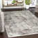Radtke Oriental Indoor Rug