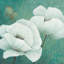 «Flora II», impression sur toile-29090077-72809486-72809491