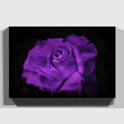 Flower Purple Rose 6 - Wrapped Canvas