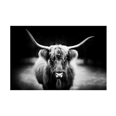 Art photographique, "Highland" sur toile par PHBurchett