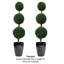 128cm Plant