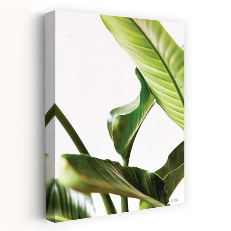 Plante, feuilles, plante abstraite, art tropical, H 48 po x l 32 po