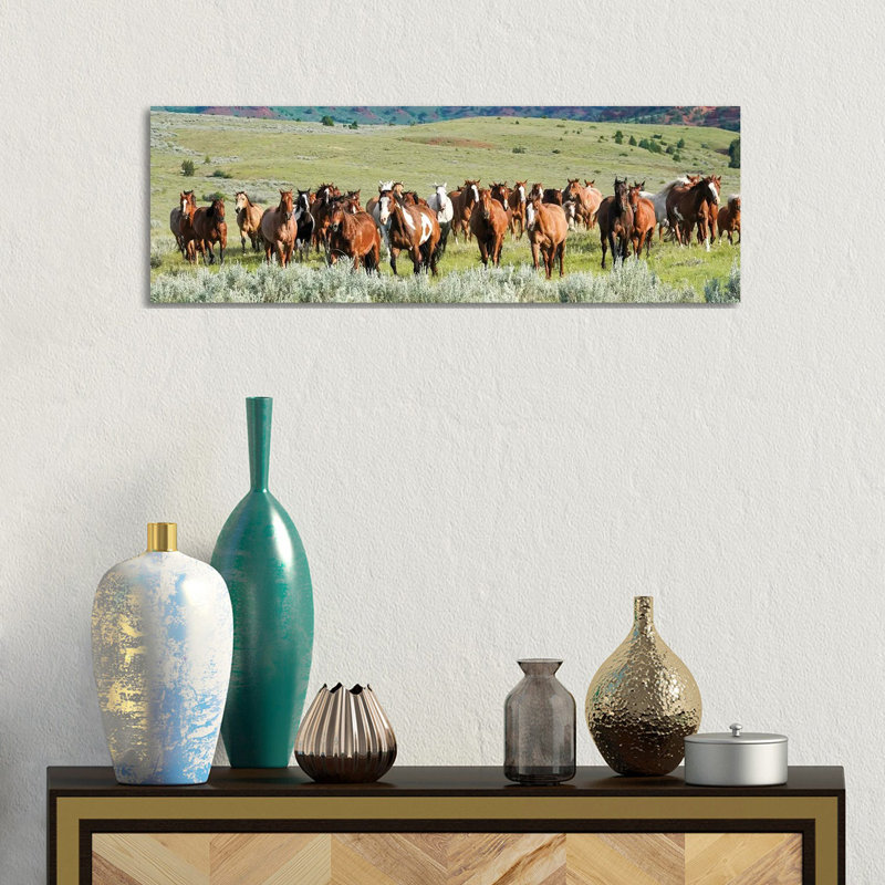 Band On The Run by Rhonda Thompson - Wrapped Canvas Panoramic Print, 30.48 cm H x 91.44 cm W x 1.91 cm D