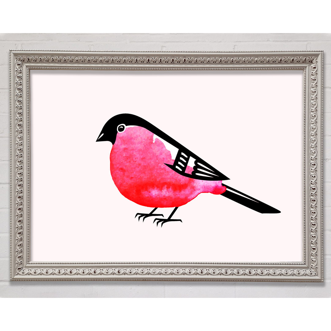 Pink Robin Breast - Einzelner Bilderrahmen Kunstdrucke