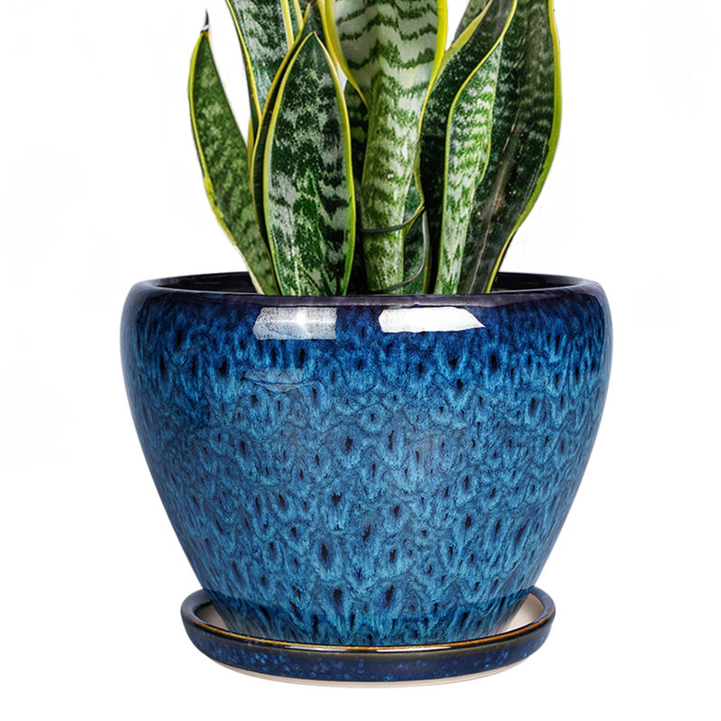 Ceramic Modern Glaze Succulent Planter Pot, 5.8" H x 8" W x 8" D
