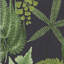 Midsummer Fern Floral Wallpaper Double Roll-656958142