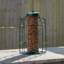 Caziyah Metal Hanging