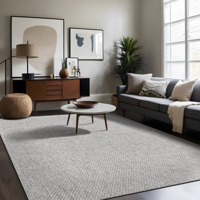 Indoor Outdoor Area Rug