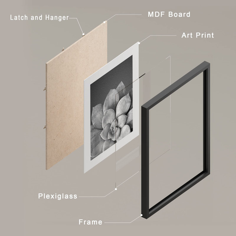 Cactus succulent noir et blanc en niveaux de gris Southwest, Noir, H 14 po x l 11 po