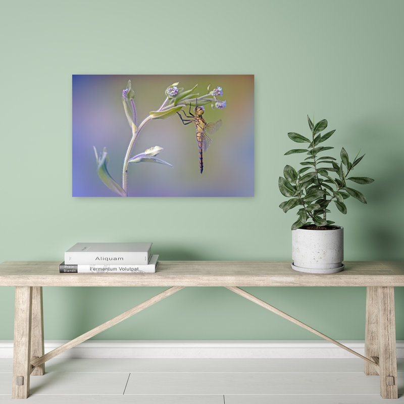 Delicate Dragonfly Moment Delicate Contemporary Dragonfly Flower Nature Wall Art Print by Fabrizio Daminelli - Print
