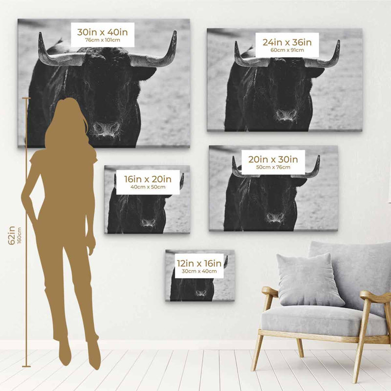 «Black Bull», art mural 9696 sur toile, H 12 po x l 16 po, Toile encadrée noire